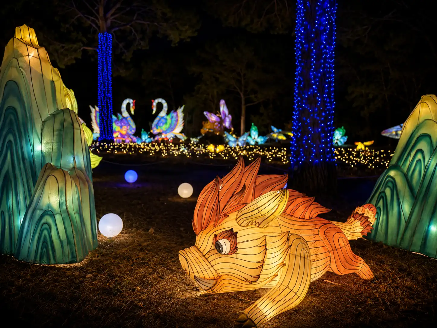 Lanterne lumineuse
